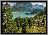 Góry Alpy, Drzewa, Dolina Engadyna, Jezioro Silsersee, Szczyt Piz da la Margna, Kanton Gryzonia, Szwajcaria
