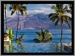 Góry, Morze, Basen, Palmy, Maui, Hawaje