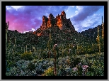 Stany Zjednoczone, Arizona, Góry, Superstition Mountains, Skały, Kaktusy, Drzewa, Roślinność, Chmury, Zachód słońca