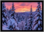 Zima, Zachód słońca, Kolorowe, Niebo, Ośnieżone, Drzewa, Góry