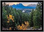 Góry, Teton Range, Rzeka, Snake River, Drzewa, Park Narodowy Grand Teton, Stan Wyoming, Stany Zjednoczone