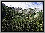 Góry, Las, Szczyty, Drzewa