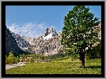 Tyrol, Góry, Lasy, Łąka, Hotel, Alpengasthof, Gramai