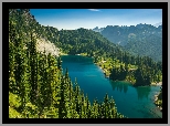 Góry, Drzewa, Świerki, Jezioro