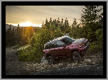 Jeep Grand Cherokee Trailhawk, Drzewa