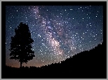 Drzewo, Gwiazdy, Noc
