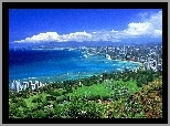 Hawaje, Zielona, Roślinność, Ocean, Spokojny