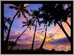 Hawaje, Maui, Zachód słońca, Palmy, Morze