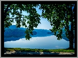 Drzewa, Norwegia, Jezioro Heddalsvatnet