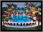 Hotel, Basen, Kurort, Palmy, Tropik