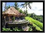 Indonezja, Wyspa, Bali, Hotel, Palmy