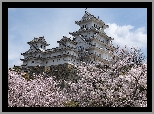 Zamek Himeji, Zamek Białej Czapli, Kwitnące, Drzewa, Miejscowość Himeji, Japonia