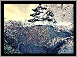 Japonia, Dom, Kwitnące, Drzewa