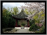 Japoński, Ogród, Kwitnące, Drzewa