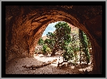 Jaskinia, Skały, Drzewa, Sosny, Park Narodowy Arches, Utah, Stany Zjednoczone