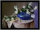 Krzewy, Jasmin, Kompozycja