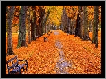 Jesień, Park, Aleja, Ławki