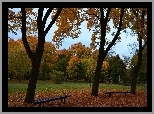 Jesień, Drzewa, Ławeczki, Liście