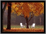 Jesień, Drzewa, Białe, Krzesła