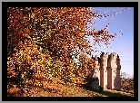 Jesień, Drzewo, Zamek, Craigievar, Szkocja