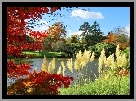 Jesień, Park, Jeziorko, Drzewa, Trawa