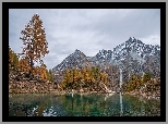 Jesień, Góry, Jezioro, Lac Bleu, Żółte, Drzewa, Modrzewie, Szwajcaria