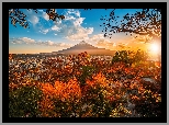 Japonia, Wyspa Honsiu, Miasto Fujiyoshida, Góra Fudżi, Krzewy, Drzewa, Jesień
