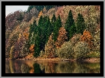 Jesień, Kolorowe, Drzewa, Jezioro, Las