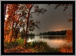 Jezioro, Jesień, Drzewa