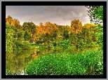 Jesień, Las, Jezioro, Trawy