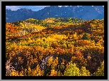 Jesień, Góry, San Juan Mountains, Przełęcz, Dallas Divide, Lasy, Drzewa, Kolorado, Stany Zjednoczone