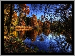 Jesień, Park, Staw, Drzewa, Kaczki, Ptaki