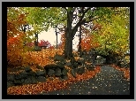 Jesień, Droga, Kamienie, Drzewa