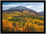 Stany Zjednoczone, Kolorado, Przełęcz, Kebler Pass, Góry, Drzewa, Lasy, Jesień