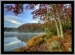 Jesień, Jezioro, Mgiełka, Drzewa