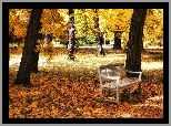 Jesień, Park, Drzewa, Ławka, Opadłe, Liście