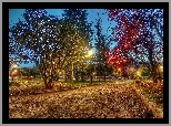 Jesień, Park, Oświetlone, Alejki, Opadłe, Liście