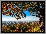 Jesień, Drzewo, Panorama, Miasta