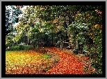 Jesień, Drzewa, Park, Ścieżka
