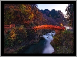 Oświetlony, Most, Shinkyo Bridge, Rzeka, Daiya River, Las, Drzewa, Jesień, Nikko, Japonia