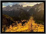 Jesień, Góry, Dolomity, Drzewa, Żółte, Modrzewie, Trawa, Tyrol, Włochy