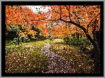 Jesienny, Park, Alejka, Opadłe, Liście
