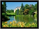Jeziorko, Kwiatki, Drzewa, Pałac, Sandringham, Anglia
