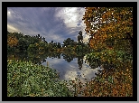 Jezioro, Trawa, Szuwary, Drzewa, Chmury, Jesień