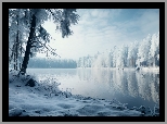 Zima, Jezioro, Drzewa, Śnieg, 2D