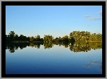 Jezioro, Drzewa