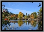 Jezioro, Most, Drzewa, Jesień