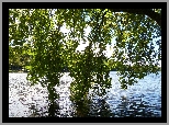 Jezioro, Gałęzie