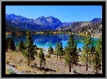 Jezioro, Drzewa, Góry, Kalifornia