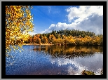 Jezioro, Pożółkłe, Drzewa, Jesień, Chmury